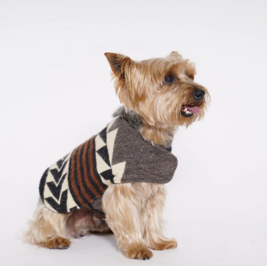 Pet Poncho Sweater ALLPA