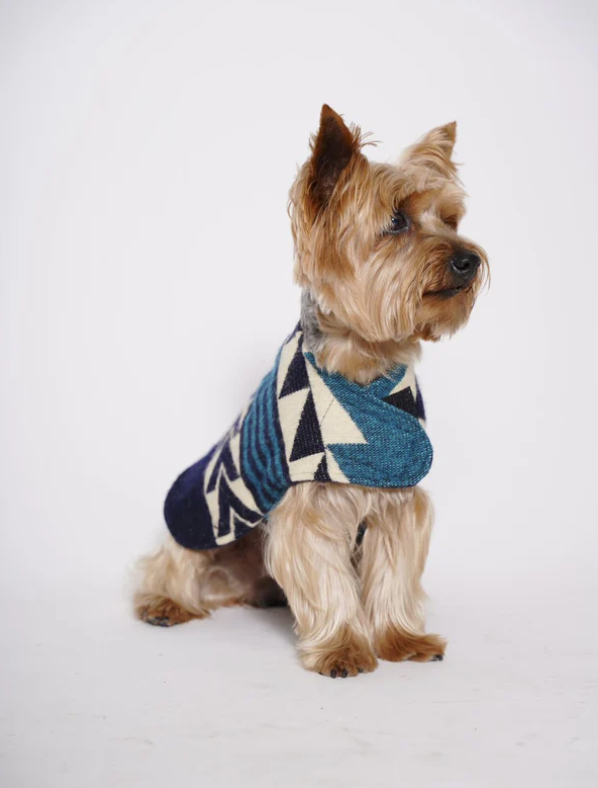 Pet Poncho Sweater ALLPA